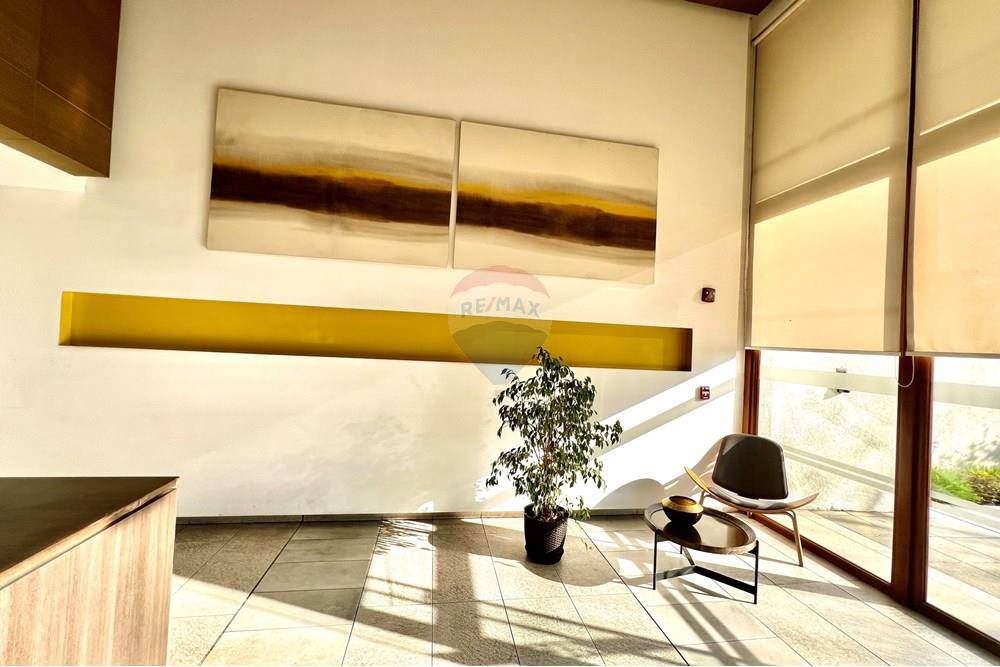 Жилищен - Апартамент - La Reina, Santiago, Metropolitana De Santiago - CL - IMG_6581.jpeg - 1028098015-628