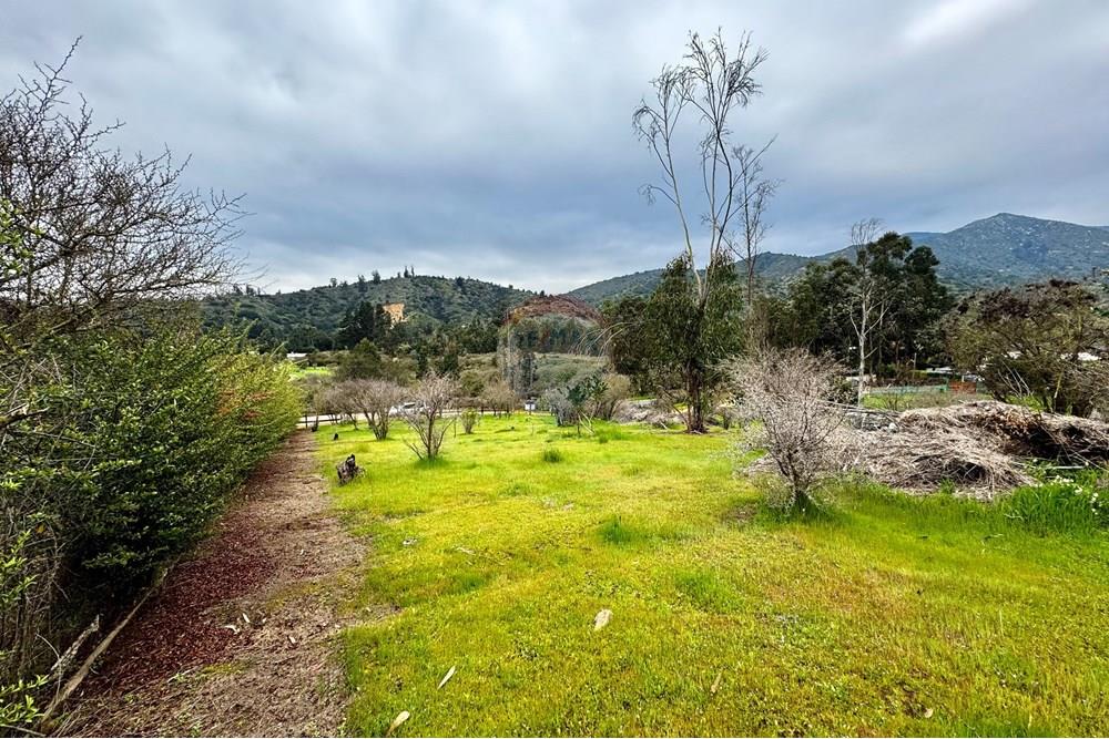 Rezidenčná - Pozemok - Casablanca, Valparaíso, Valparaíso - CL - IMG_8002.jpg - 1028037167-1425