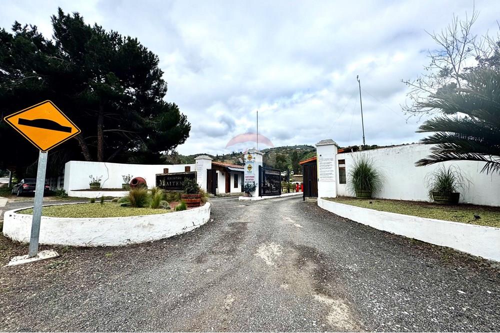 Rezidenčná - Pozemok - Casablanca, Valparaíso, Valparaíso - CL - IMG_8029.jpg - 1028037167-1425