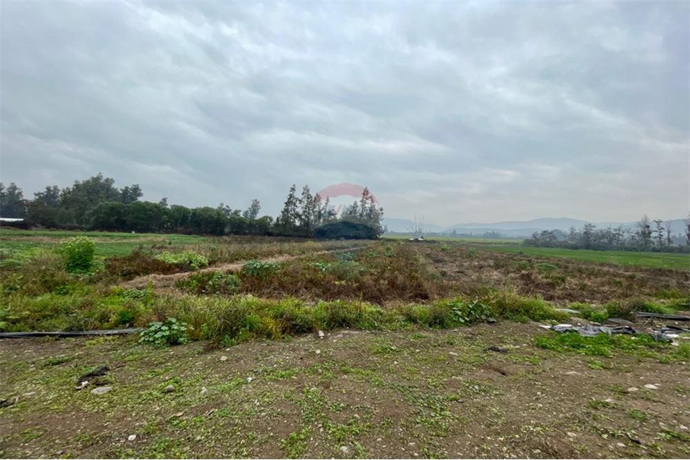 Residential - คฤหาสน์ชนบท - Talagante, Talagante, Metropolitana De Santiago - CL - 8 - 1028091010-162