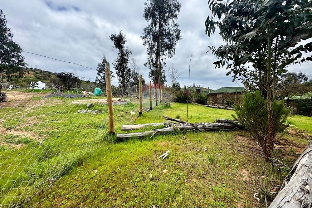 Rezidenčná - Pozemok - Casablanca, Valparaíso, Valparaíso - CL - IMG_7998.jpg - 1028037167-1425