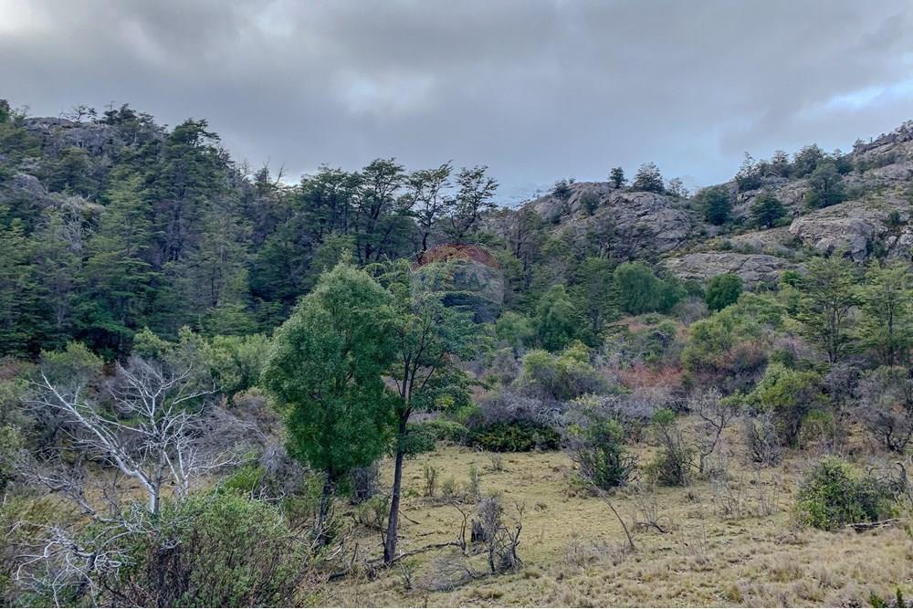 Gyvenamasis - Žemės sklypas - Chile Chico, General Carrera, Aisén - CL - IMG_1954.jpg - 1028085049-21