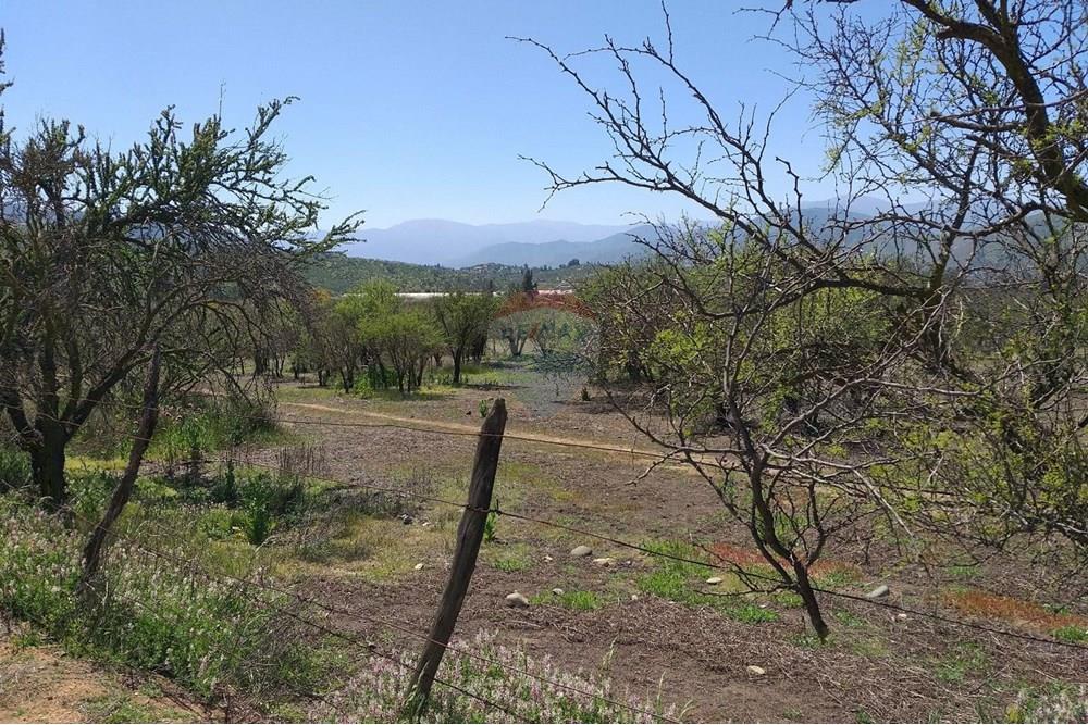 Residential - Land - Curacaví, Melipilla, Metropolitana De Santiago - CL - IMG-20240118-WA0016.jpg - 1028091010-163