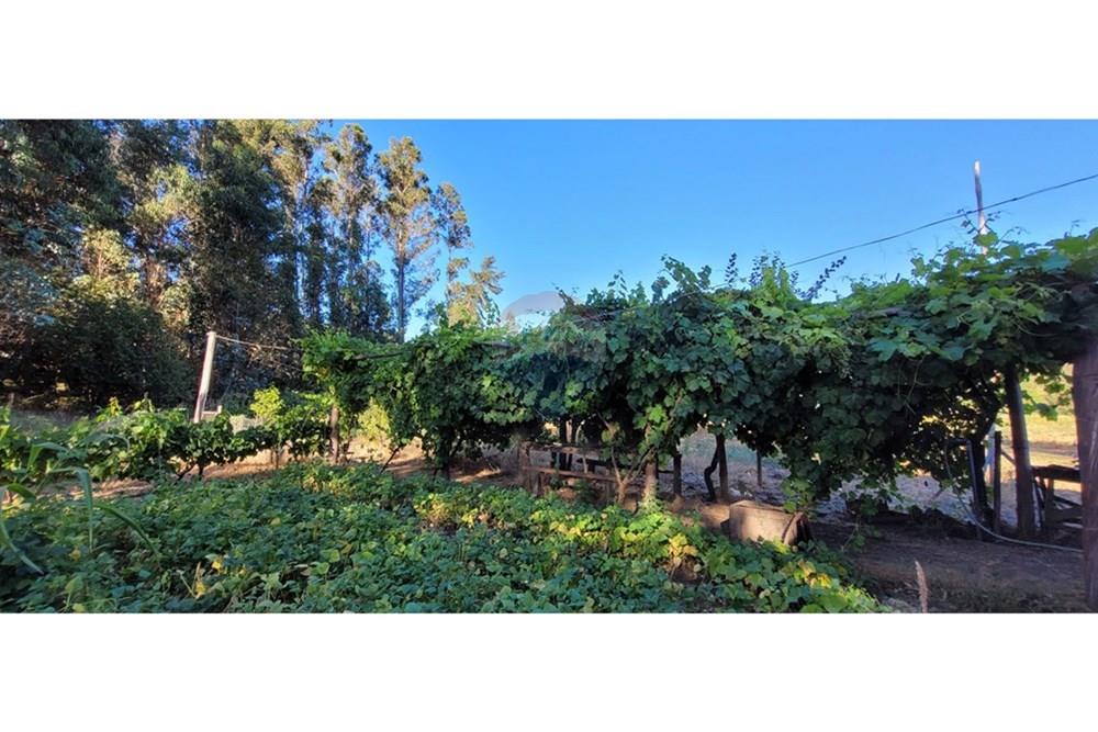 Residential - ਪਿੰਡ ਦਾ ਘਰ - Portezuelo, Itata, Ñuble - CL - 20250202_190549.jpg - 1028091021-98