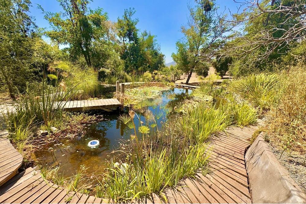 lakó - szabadonálló ház - La Florida, Santiago, Metropolitana De Santiago - CL - IMG_1450.jpg - Garden - 1028018291-683