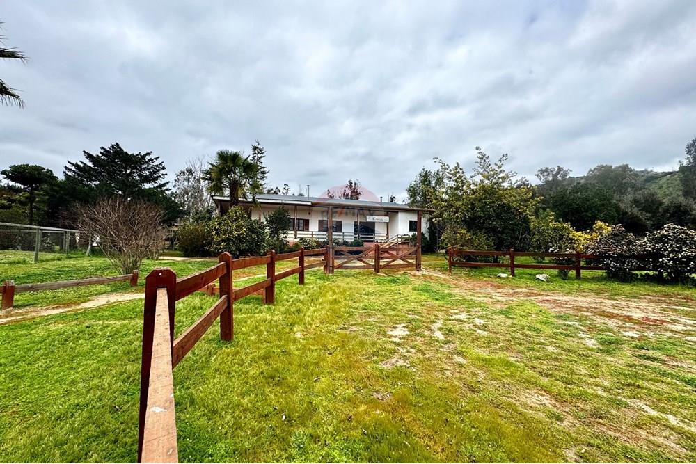 Rezidenčná - Pozemok - Casablanca, Valparaíso, Valparaíso - CL - IMG_8020.jpg - 1028037167-1425