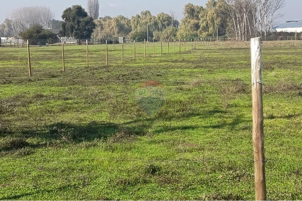 Residential - Herregård - Lampa, Chacabuco, Metropolitana De Santiago - CL - IMG_20250605_122311.jpg - 1028096092-4