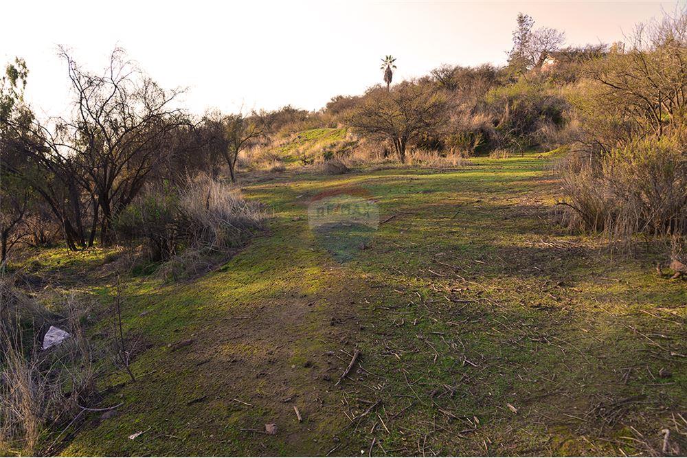 Residential - Угловой дом - La Florida, Santiago, Metropolitana De Santiago - CL - 5 - 1028057042-748