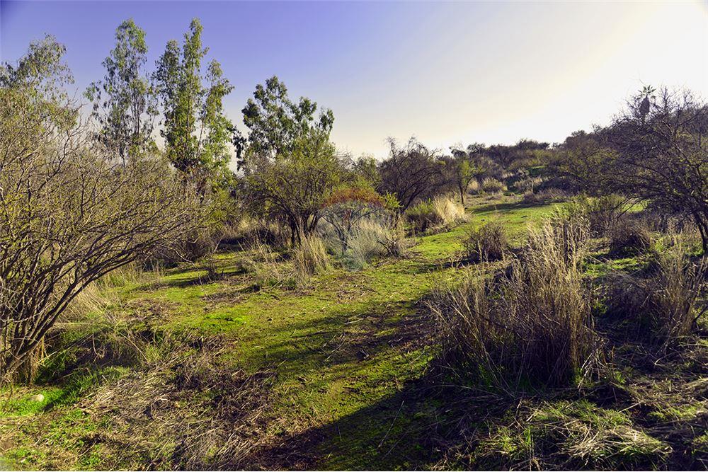 Residential - Угловой дом - La Florida, Santiago, Metropolitana De Santiago - CL - 10 - 1028057042-748