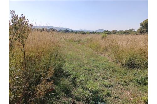 Residenziale - Lotto vacante - De Wildt, North West - South Africa - 7 - 1031414106-205