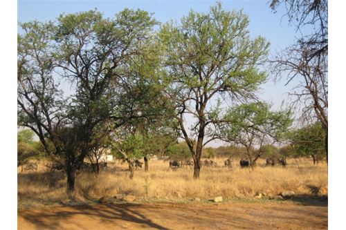 Residenziale - Lotto vacante - Leeuwfontein Estate, Gauteng - South Africa - 46 - 1031414102-104