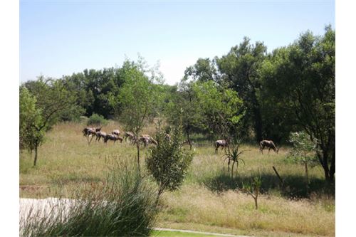 Residenziale - Lotto vacante - Leeuwfontein Estate, Gauteng - South Africa - 43 - 1031414102-104