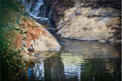 Slider Image Thumbnail
