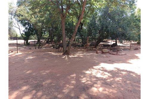 Residenziale - Lotto vacante - De Wildt, North West - South Africa - 17 - 1031414106-205