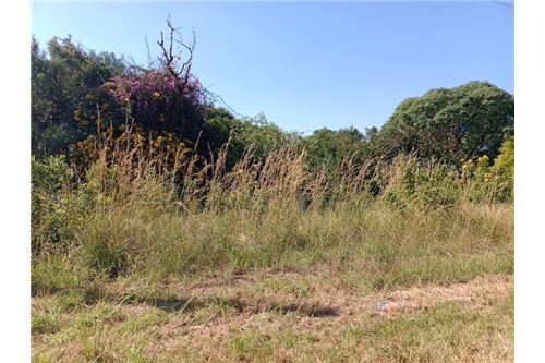 Residenziale - Lotto vacante - De Wildt, North West - South Africa - 44 - 1031414106-205