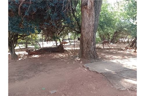 Residenziale - Lotto vacante - De Wildt, North West - South Africa - 11 - 1031414106-205