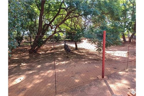 Residenziale - Lotto vacante - De Wildt, North West - South Africa - 22 - 1031414106-205