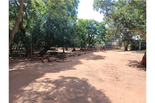 Residenziale - Lotto vacante - De Wildt, North West - South Africa - 5 - 1031414106-205