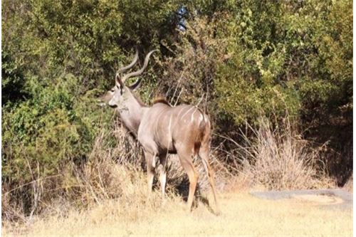 Residenziale - Lotto vacante - Leeuwfontein Estate, Gauteng - South Africa - 45 - 1031414102-104