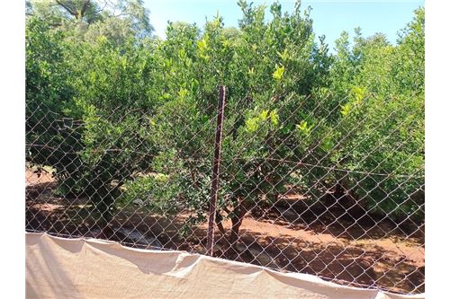 Residenziale - Lotto vacante - De Wildt, North West - South Africa - 8 - 1031414106-205