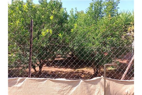 Residenziale - Lotto vacante - De Wildt, North West - South Africa - 50 - 1031414106-205