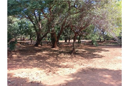 Residenziale - Lotto vacante - De Wildt, North West - South Africa - 30 - 1031414106-205