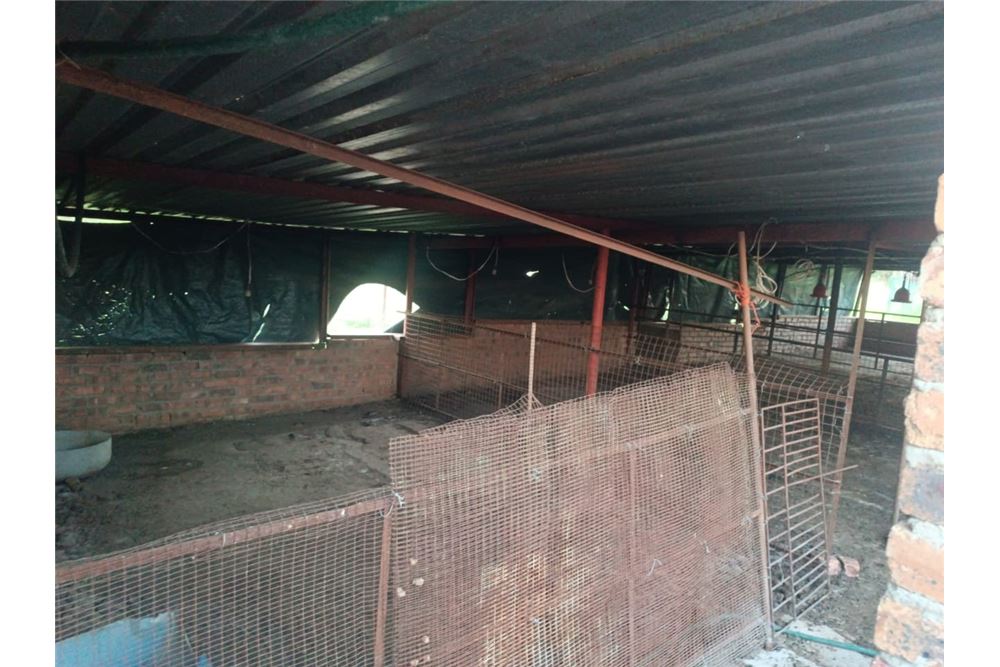 Residencial - Granja - Bultfontein, Gauteng - South Africa - 30 - 1031414014-159