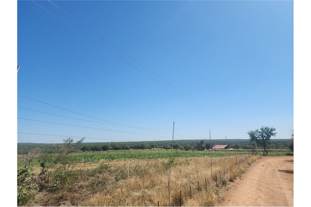 Residential - ਫ਼ਾਰਮ - Brits Rural, North West - South Africa - 3 - 1031416033-105