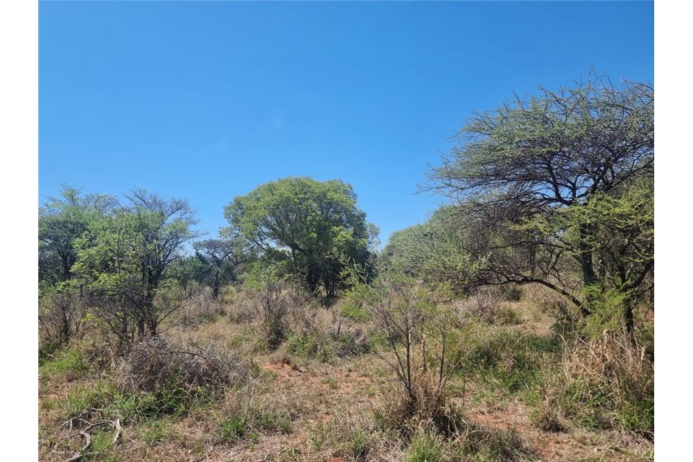 Residential - ਫ਼ਾਰਮ - Brits Rural, North West - South Africa - 43 - 1031416033-105