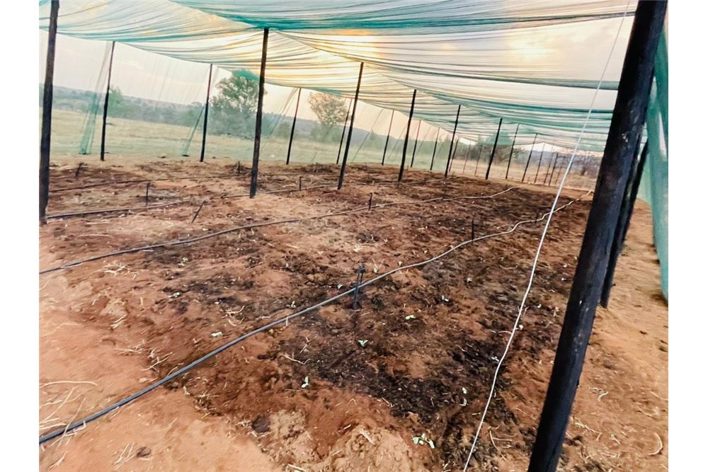 Residencial - Granja - Doornkraal, Gauteng - South Africa - 9 - 1031414137-33