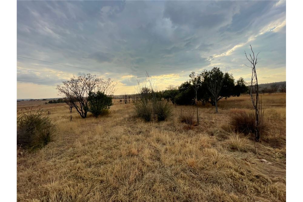 Residencial - Granja - Doornkraal, Gauteng - South Africa - 18 - 1031414137-33