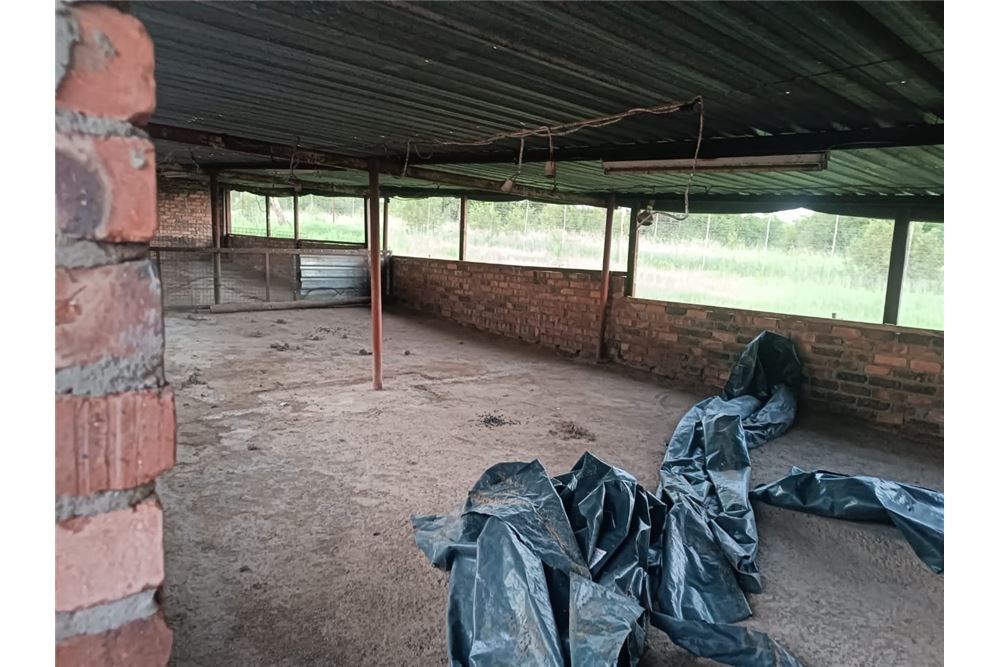 Residencial - Granja - Bultfontein, Gauteng - South Africa - 31 - 1031414014-159