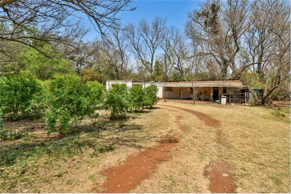 Residencial - Granja - Kameeldrift East, Gauteng - South Africa - 10 - 1031414001-140