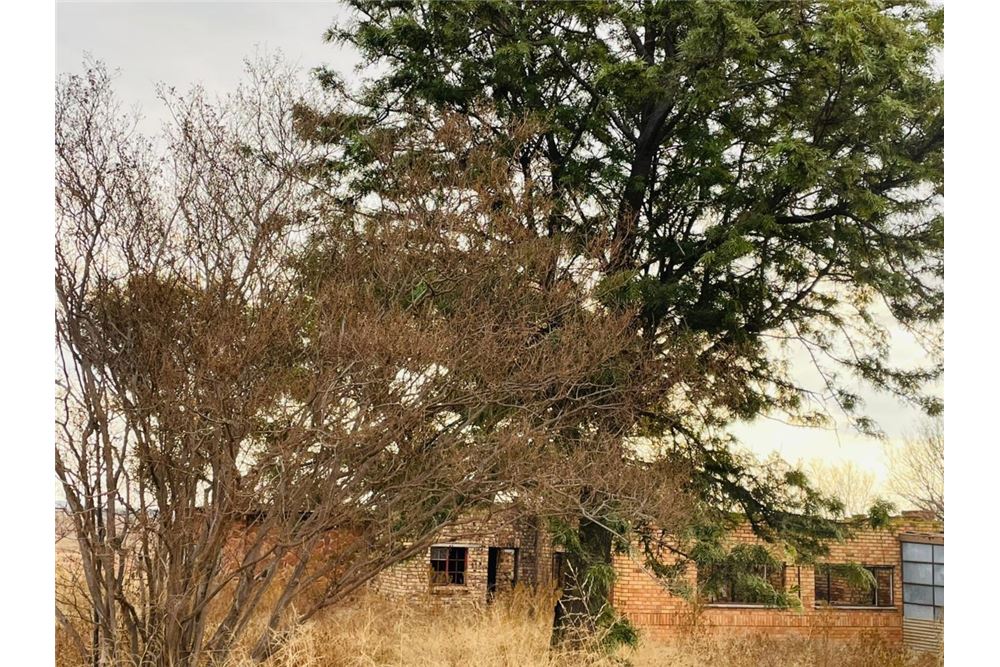 Residencial - Granja - Doornkraal, Gauteng - South Africa - 43 - 1031414137-33