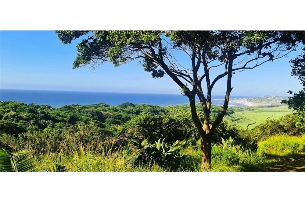 Residencial - Terreno vacante - Woodgrange, KwaZulu Natal - South Africa - 4 - 1031414112-31