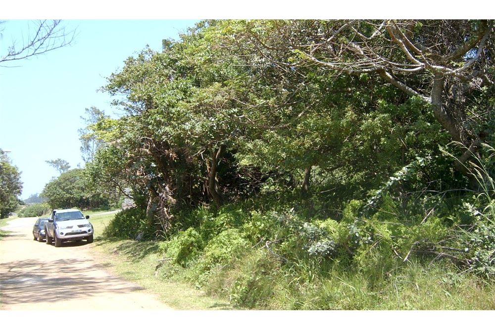 Dzīvojamais - Neapbūvēts zemesgabals - Port Edward, KwaZulu Natal - South Africa - 13 - 1031394016-369