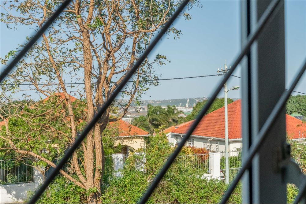 Residential - House - Glenwood, KwaZulu Natal - South Africa - 32 - 1031465109-74