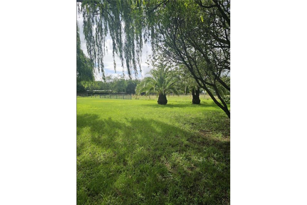 Residential - Άκτιστο οικόπεδο - Rispark, Gauteng - South Africa - 6 - 1031421159-25