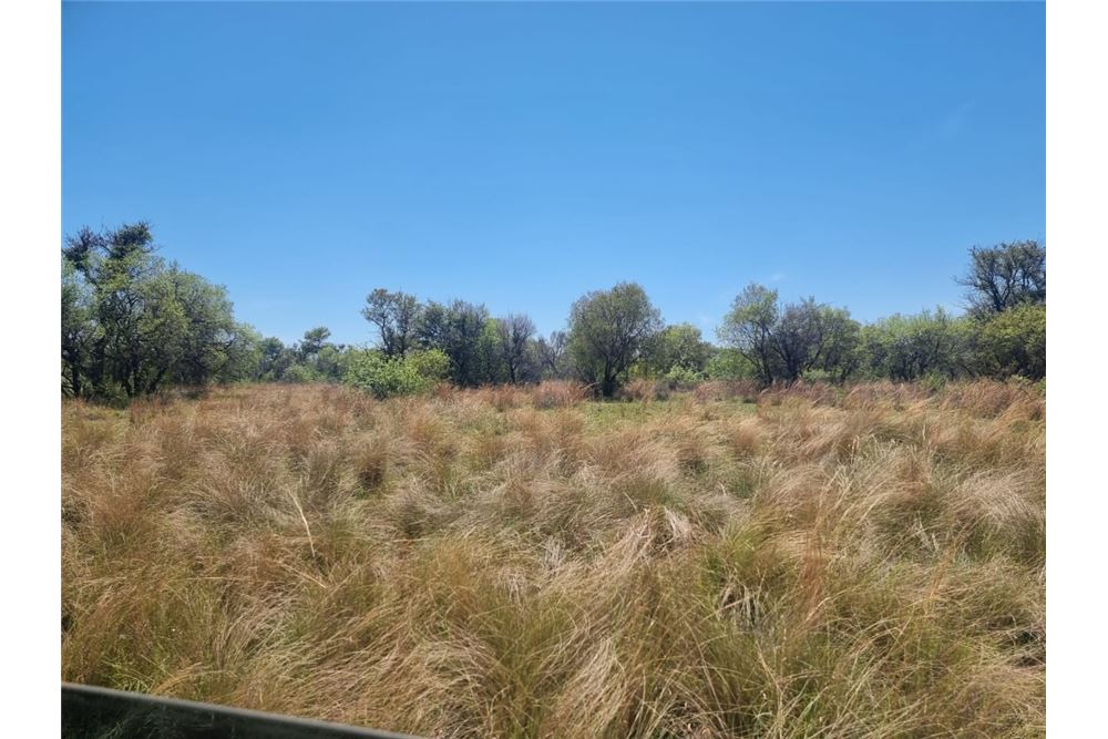 Residential - ਫ਼ਾਰਮ - Brits Rural, North West - South Africa - 42 - 1031416033-105