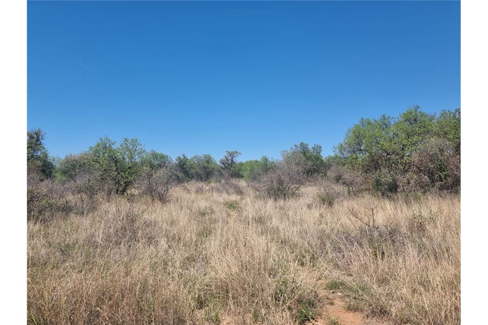 Residential - ਫ਼ਾਰਮ - Brits Rural, North West - South Africa - 41 - 1031416033-105