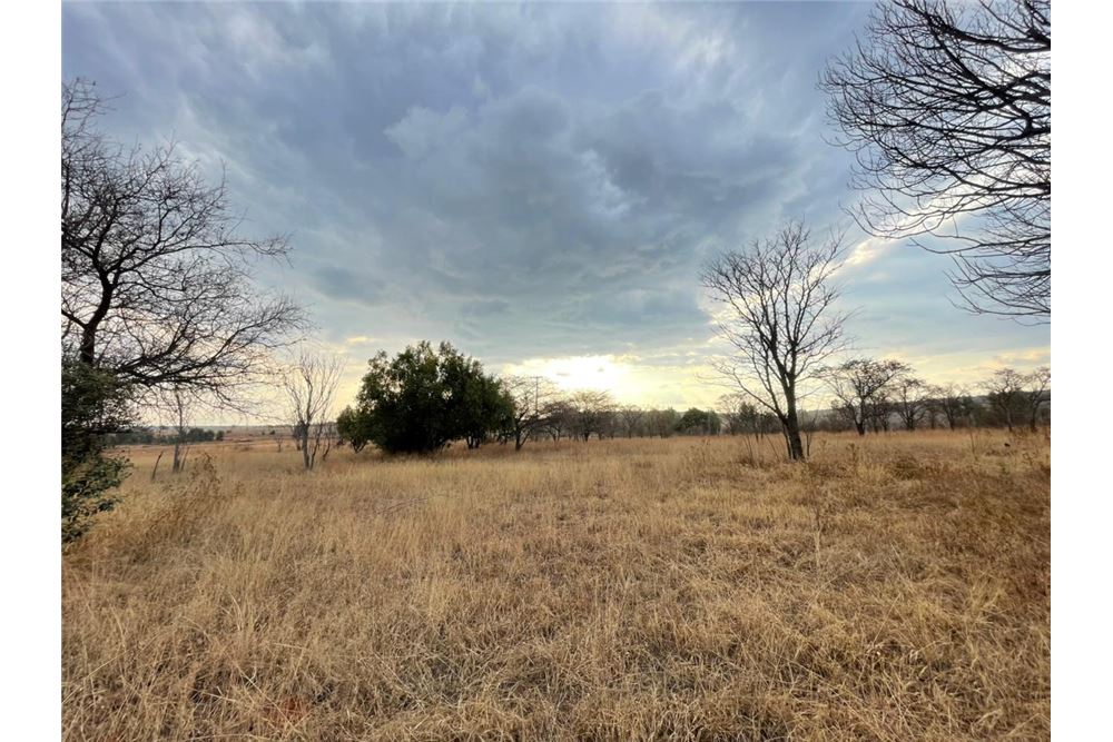 Residencial - Granja - Doornkraal, Gauteng - South Africa - 19 - 1031414137-33