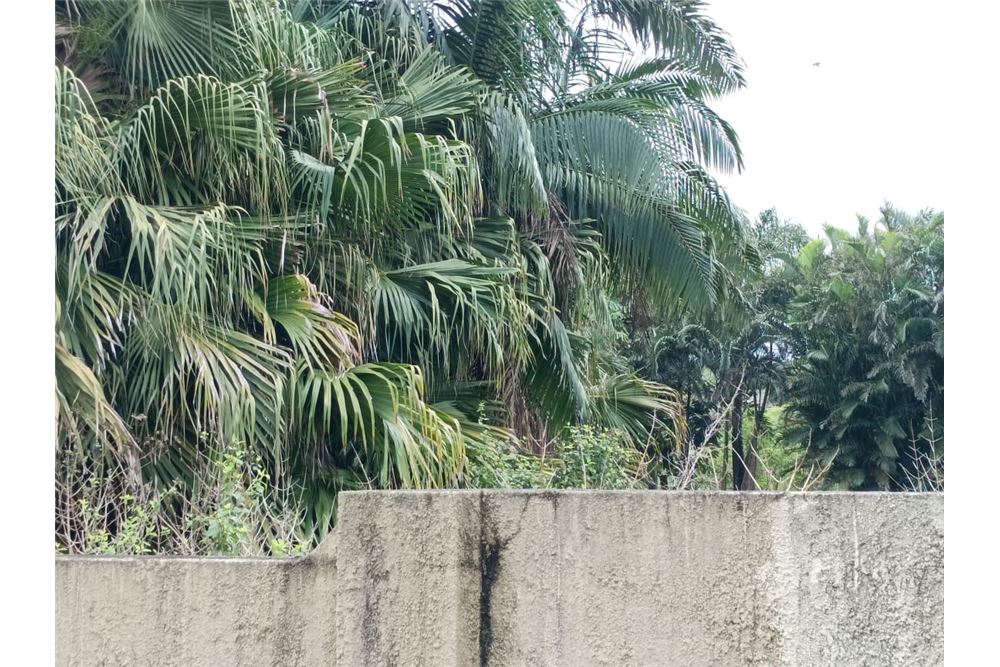 Residencial - Terreno vacante - Woodgrange, KwaZulu Natal - South Africa - 10 - 1031414112-31