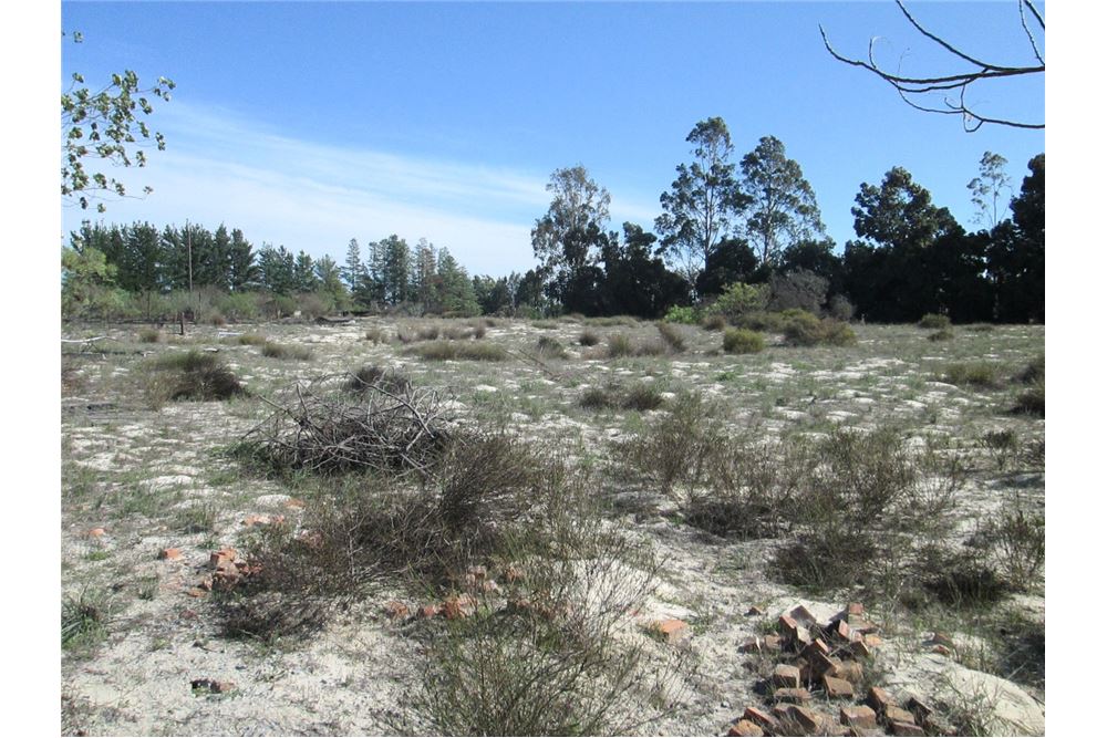 Residential Farm Malmesbury Rural, Western Cape South Africa