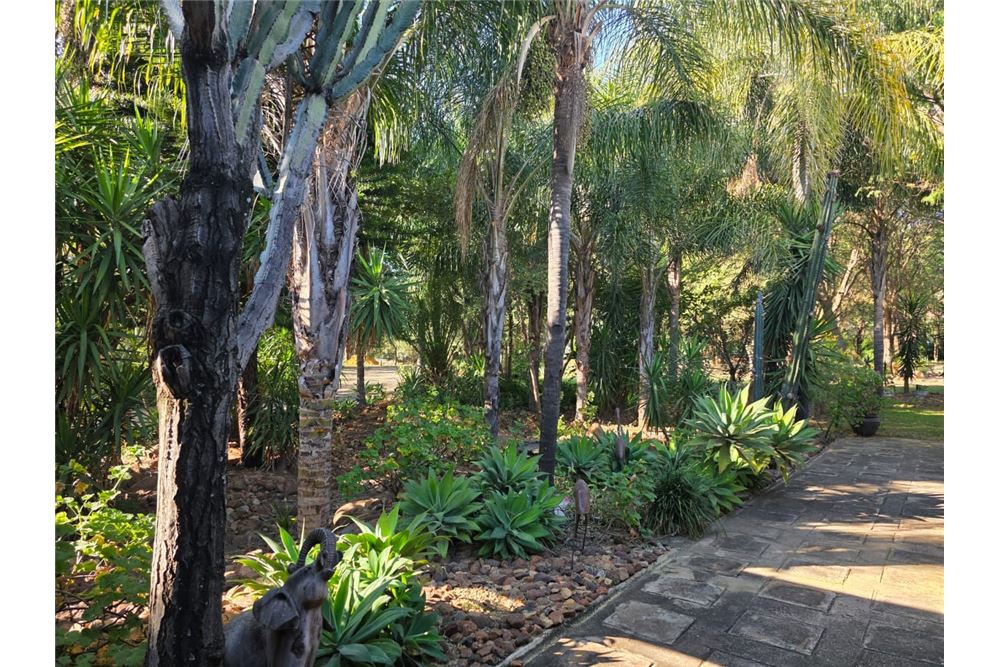 Elamine - Farm / Talu - Zandfontein AH, North West - South Africa - 36 - 1031416018-699