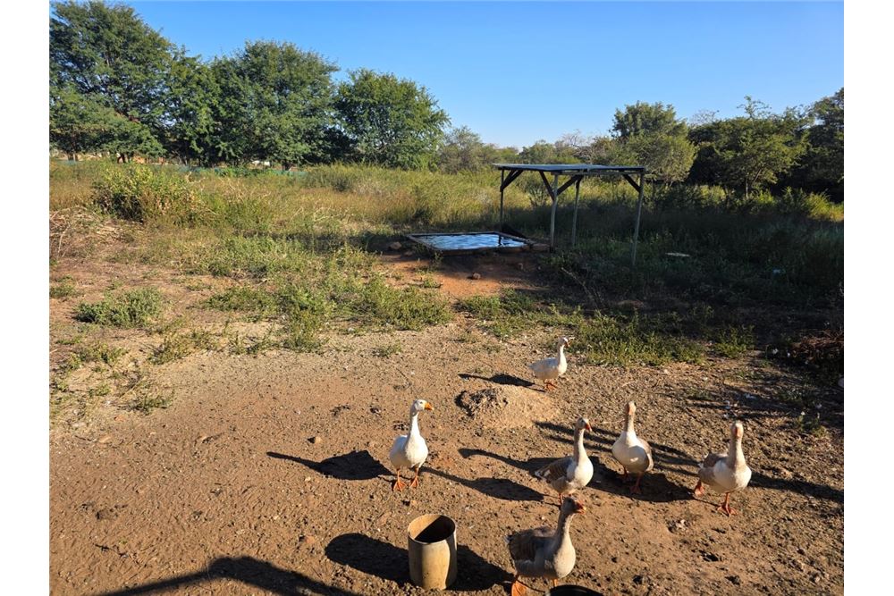 Elamine - Farm / Talu - Zandfontein AH, North West - South Africa - 26 - 1031416018-699