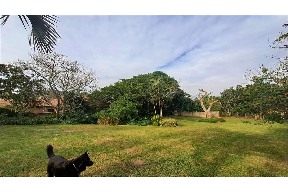 Residencial - Casa - St Michaels On Sea, KwaZulu Natal - South Africa - 57 - 1031394053-221