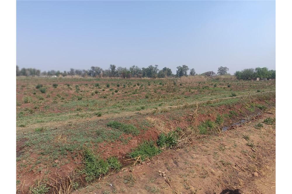 Residencial - Granja - Honingneskrans, Gauteng - South Africa - 2 - 1031414014-165