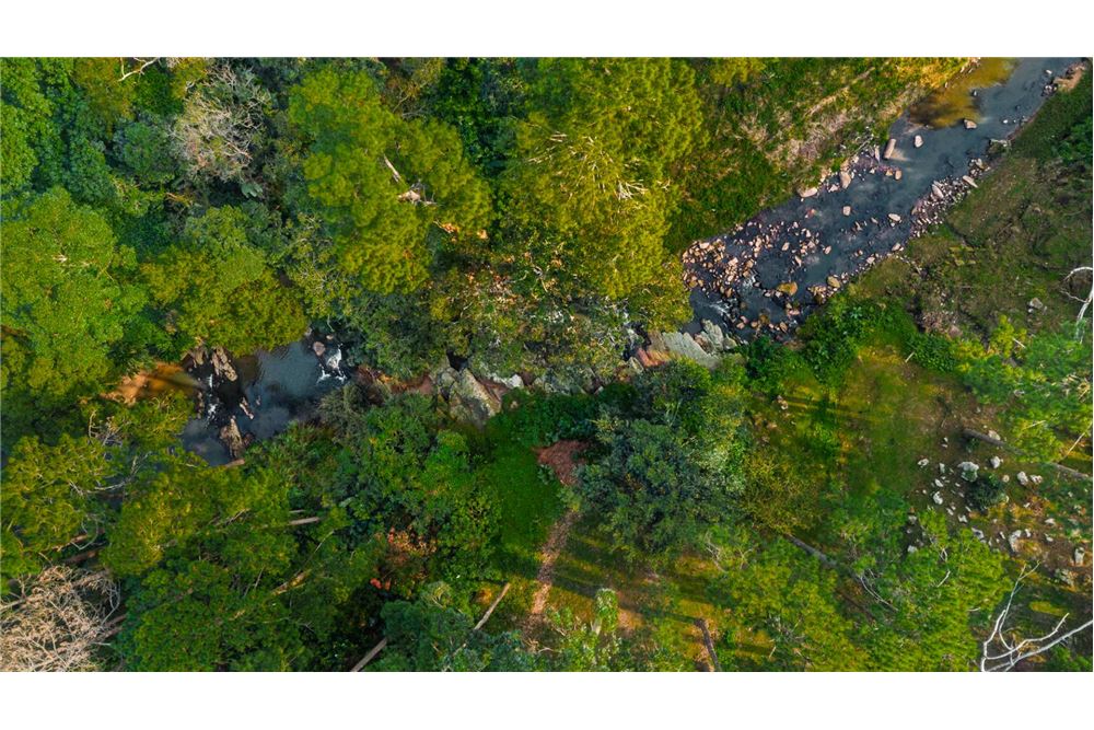 Residential - House - Westville Central, KwaZulu Natal - South Africa - 33 - 1031465101-134