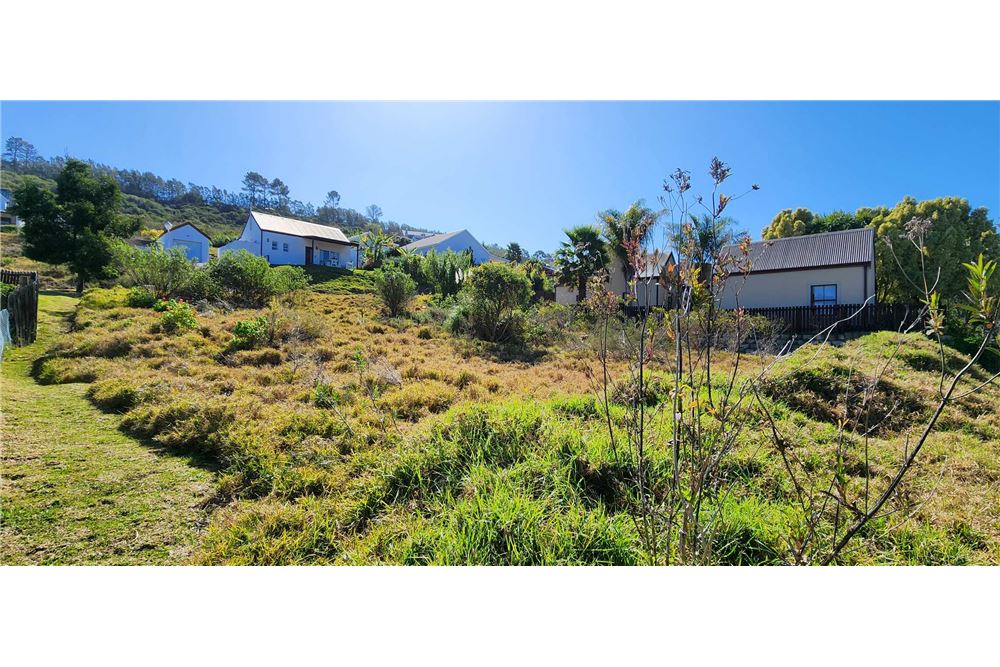 Woningbouw - Onbebouwde grond - Green Pastures, Western Cape - South Africa - 6 - 1031369053-25