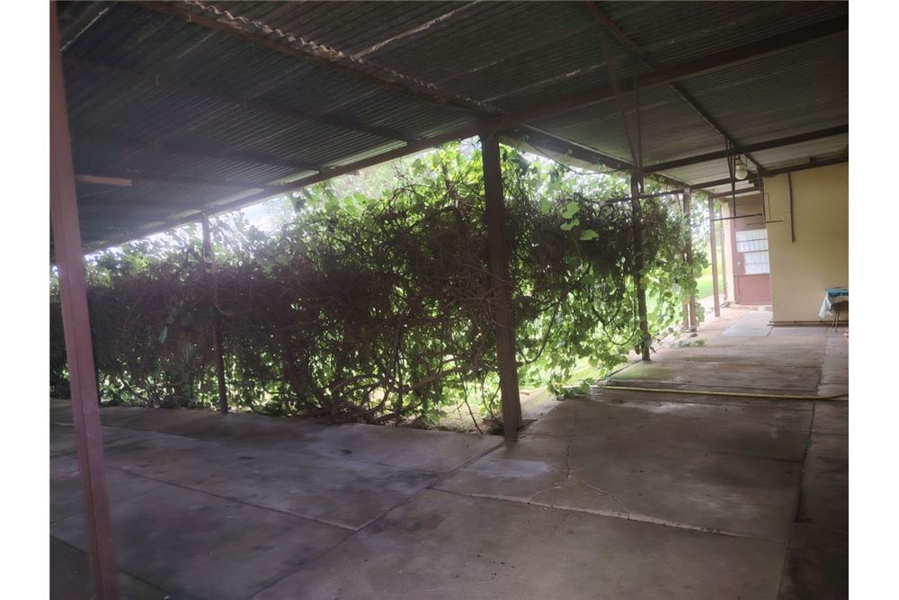 住宅 - 农场 - Lusthof, Gauteng - South Africa - 5 - 1031414014-166